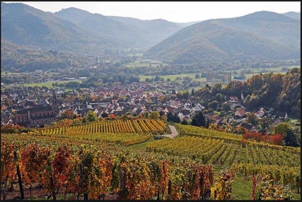 Au Chalet De Jo Muhlbach-sur-Munster Ngoại thất bức ảnh