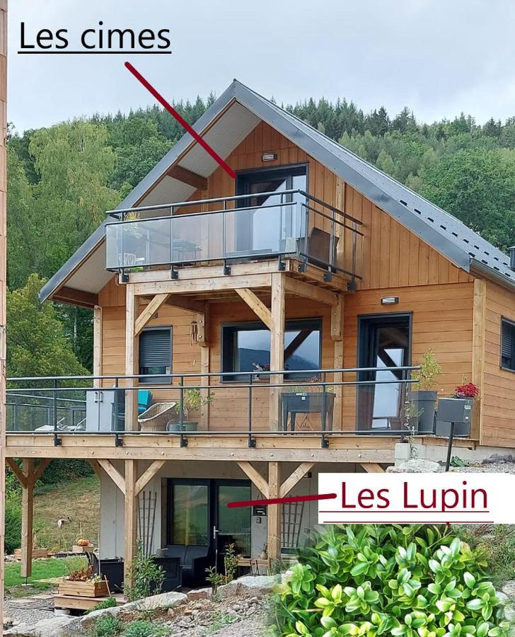 Au Chalet De Jo Muhlbach-sur-Munster Ngoại thất bức ảnh