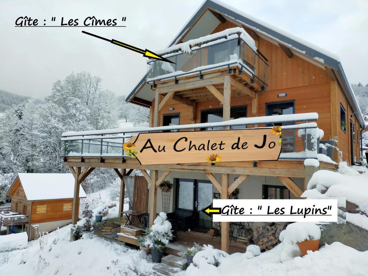 Au Chalet De Jo Muhlbach-sur-Munster Ngoại thất bức ảnh
